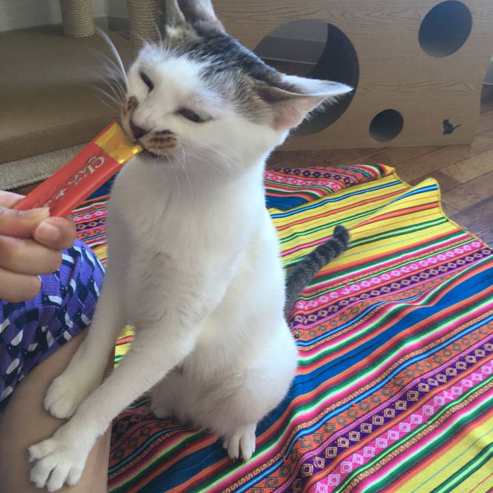 24d43aee 924c 4a82 9eb6 1df4865627a4 1535176511550