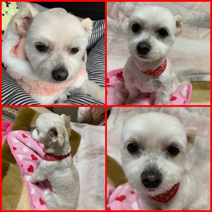 24d474bb b50b 476e b894 4a70b228a653 1577672736285