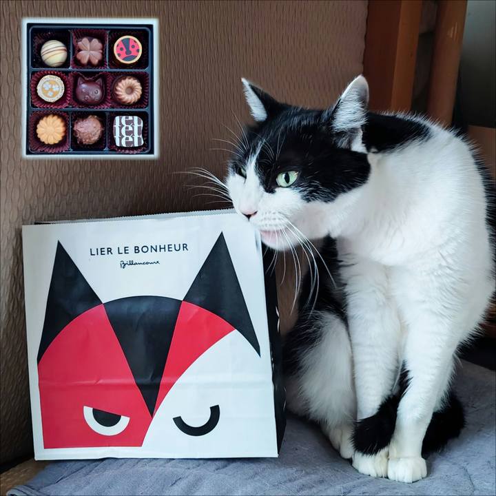 24d48adc 456c 46d9 a018 e558db1e4cb8 1771312610161