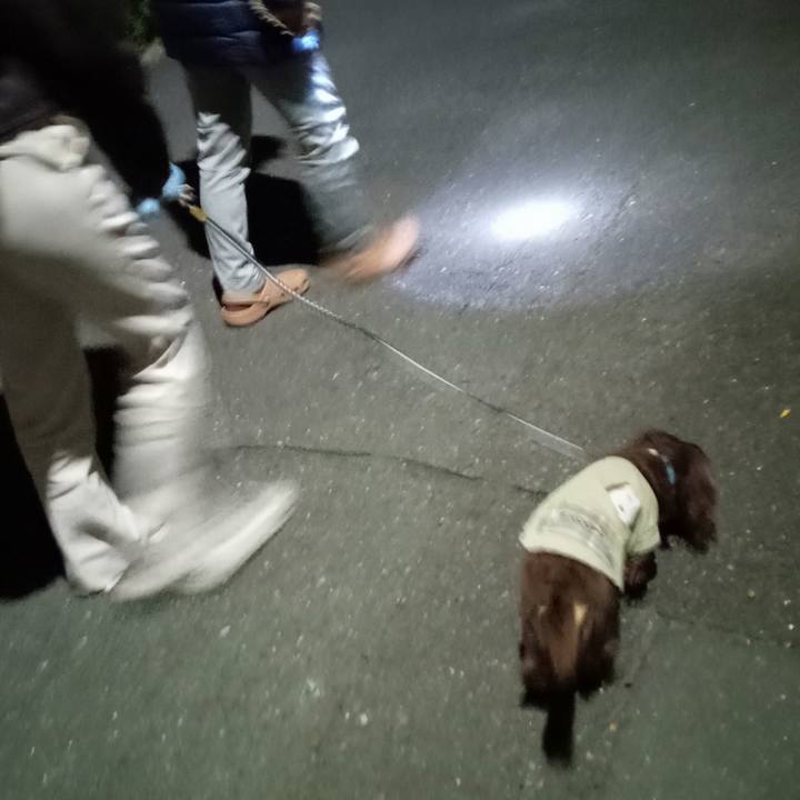 24d48f01 dc7f 4666 835b 8fc09f985fc9 1766093990624