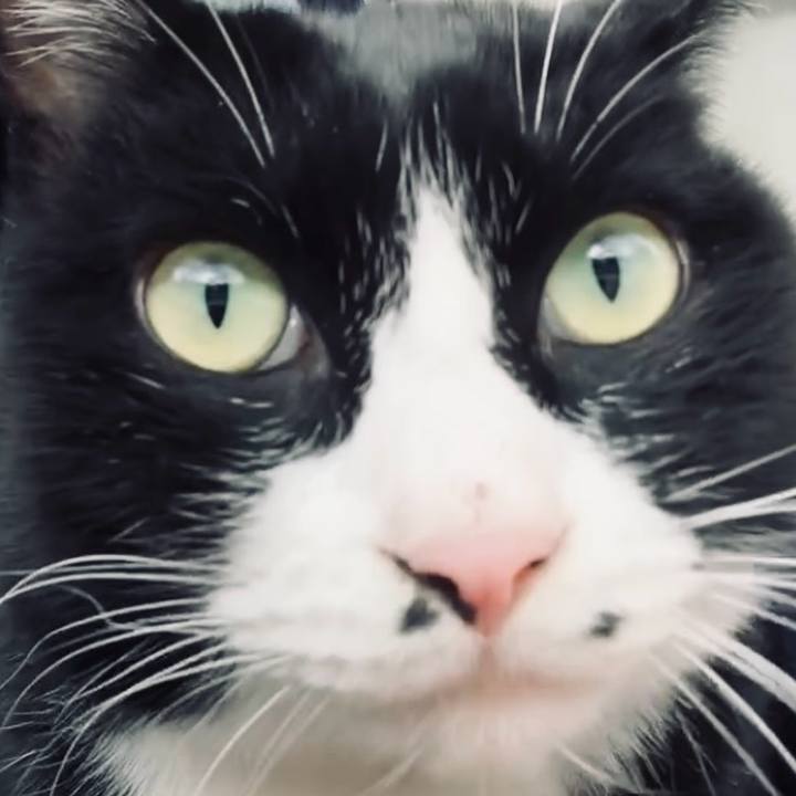 24d49c9e 1ee1 4af6 a3d8 8b13eede761b 1734144609387