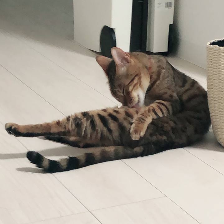 24d4d4d1 6b58 4712 a079 b9b3bcdf630a 1563200789637