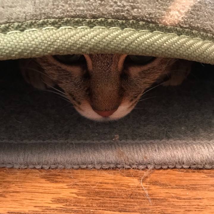 24d530d8 c7be 4c72 998c 83ea7ba0bc2e 1588028800904