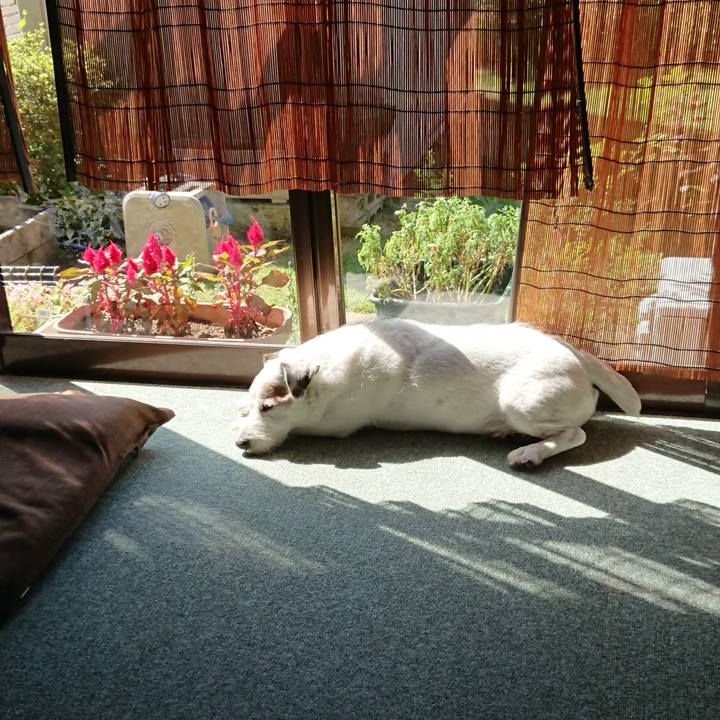 24d5317d a090 45fb 96c9 492ff2157f24 1565306361592