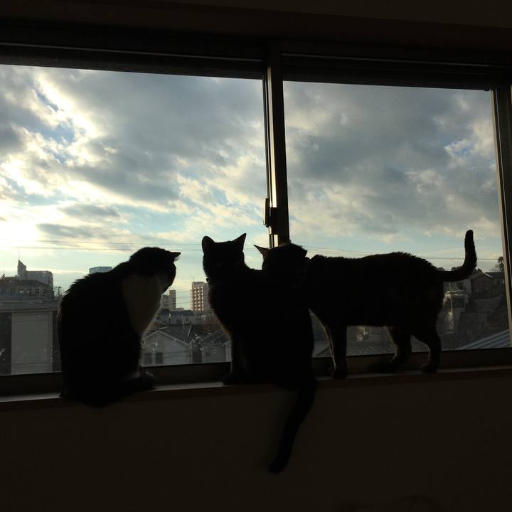 24d53471 b6be 4402 a08b b05a0675468a 1512874814603