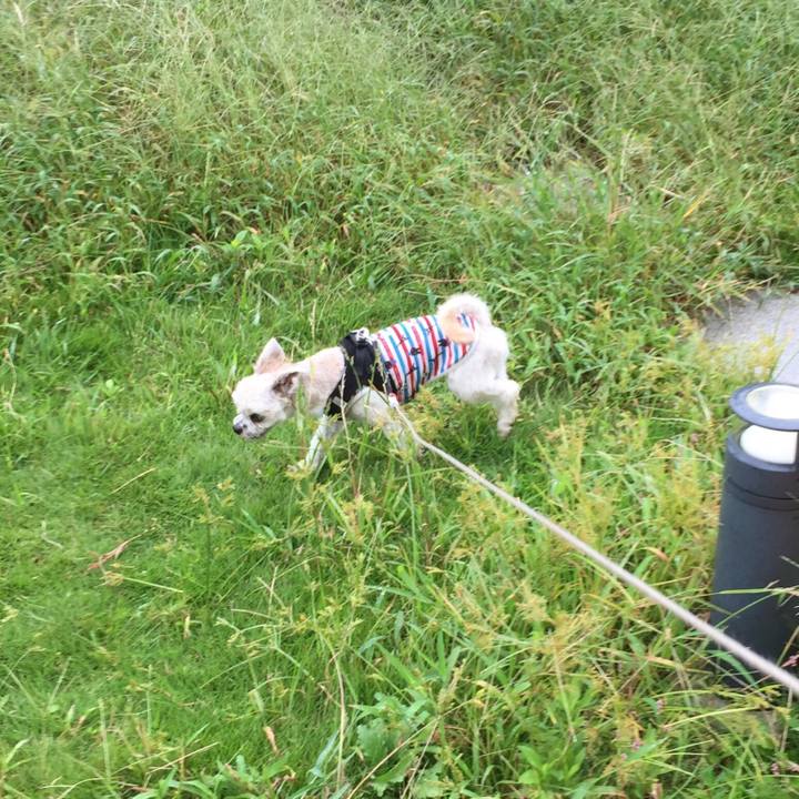 24d536d5 64de 4fe2 87ca 89f7eb266977 1538207642225