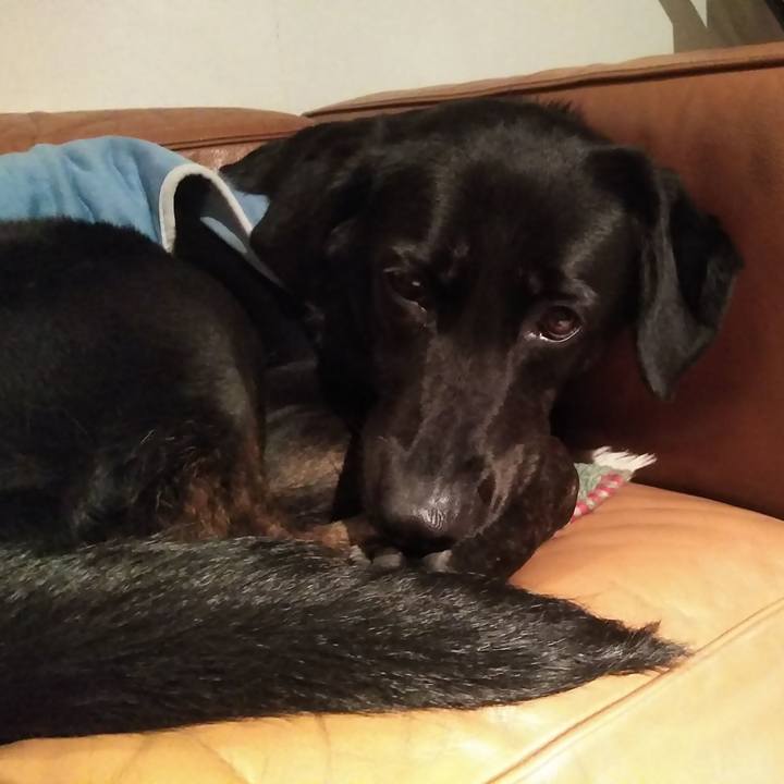 24d546c7 dc33 4764 abdd d541bad75a43 1554465767518