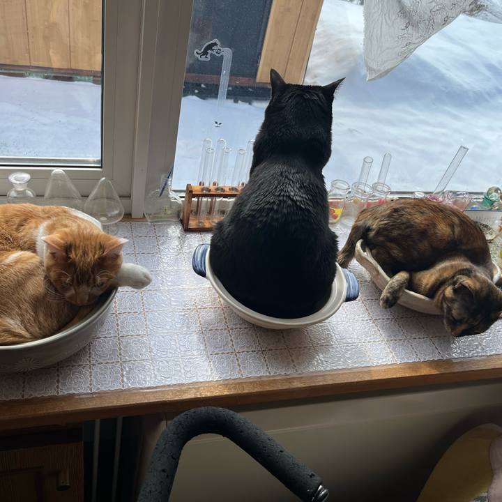 24d588e6 8513 42a6 a10b b97a69837afa 1677889777465