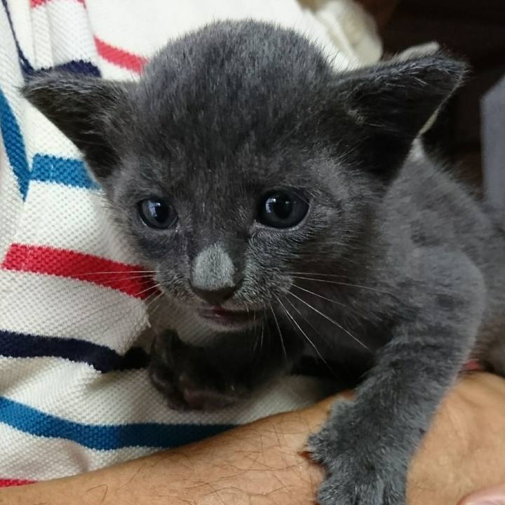 24d6078e c84a 4e75 b040 67605e346b23 1536466056064