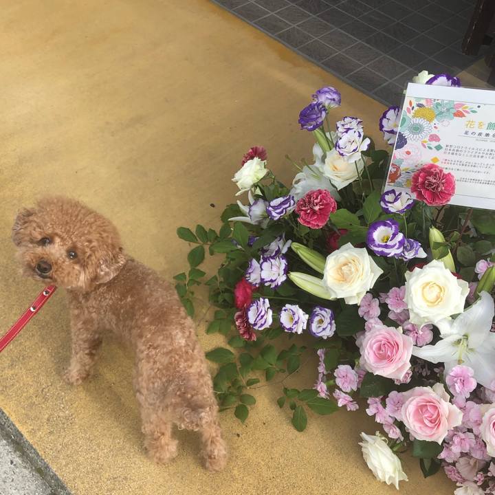 24d60fd6 79d5 4666 8923 0e5da3631cff 1593240801551