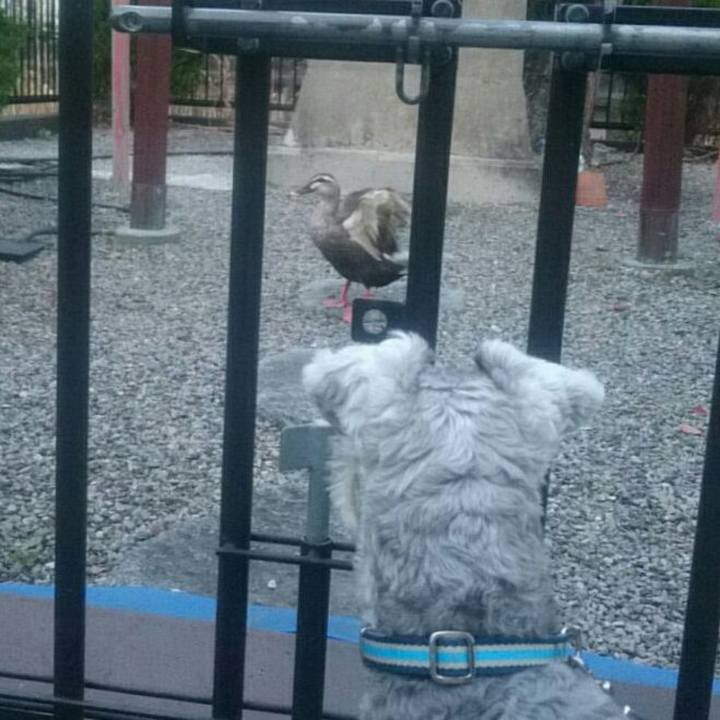 24d610cf 4aed 437f b439 b88cdef086c4 1522190993579