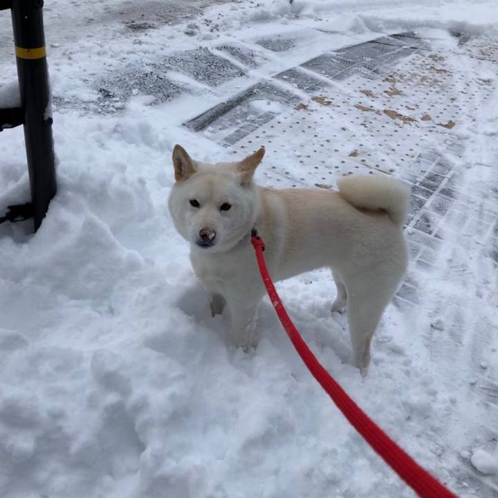 24d61fc9 59f7 42d8 9243 e71ac6d51fa0 1548555463942