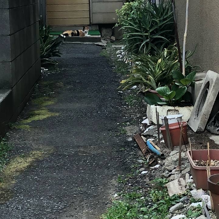 24d6291a da10 4f52 8067 96a8b431d021 1531576029151