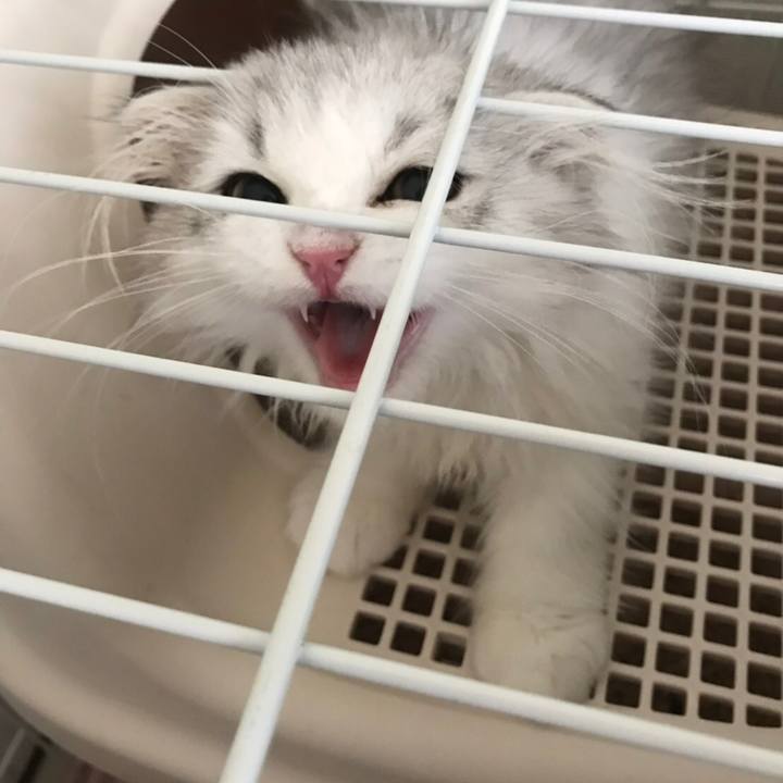 24d63e53 5fa9 4416 b9ac c1a93f6c6f85 1597276440334