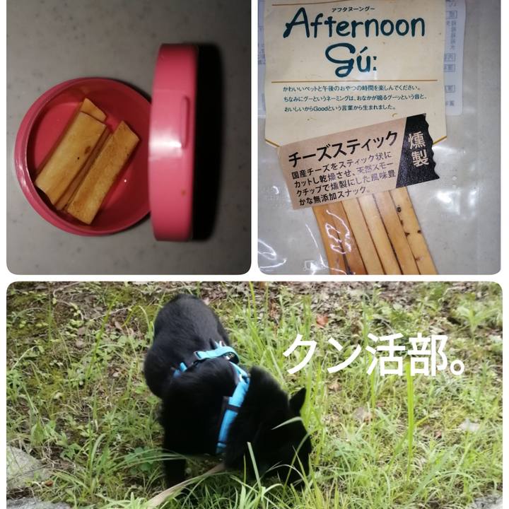 24d659ac e77d 4ff4 bf6f 50bbd248456f 1659823647681