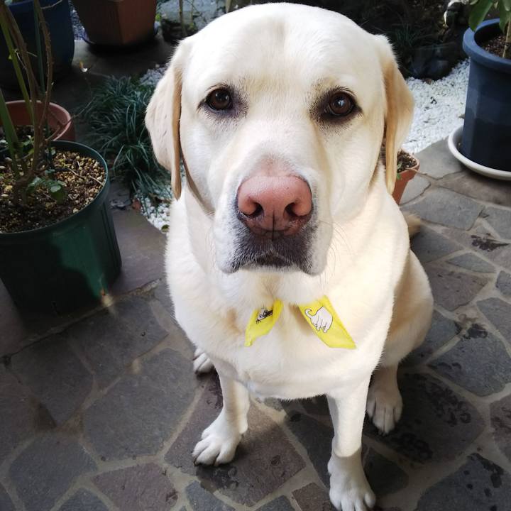 24d69969 3f2b 462f a033 48a68ccbd533 1581644054550