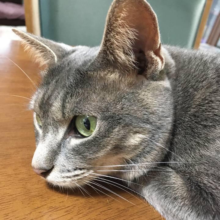 24d69e2e f6b4 44ea b77d dc7fb483cfbe 1594538809152