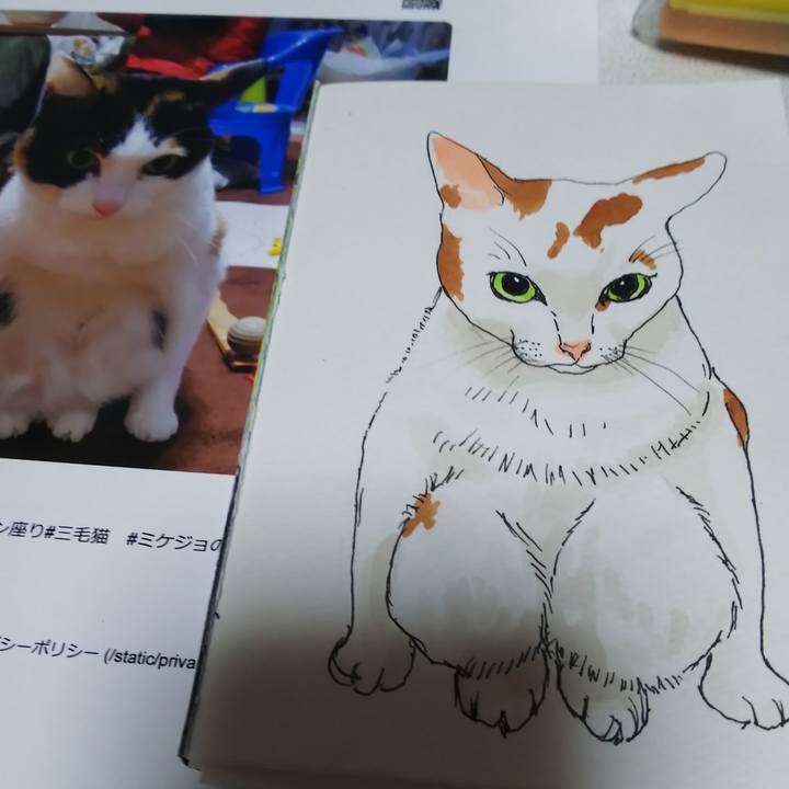 24d6abc8 25d2 431a b533 e7dbfc6ddeb3 1581816251915