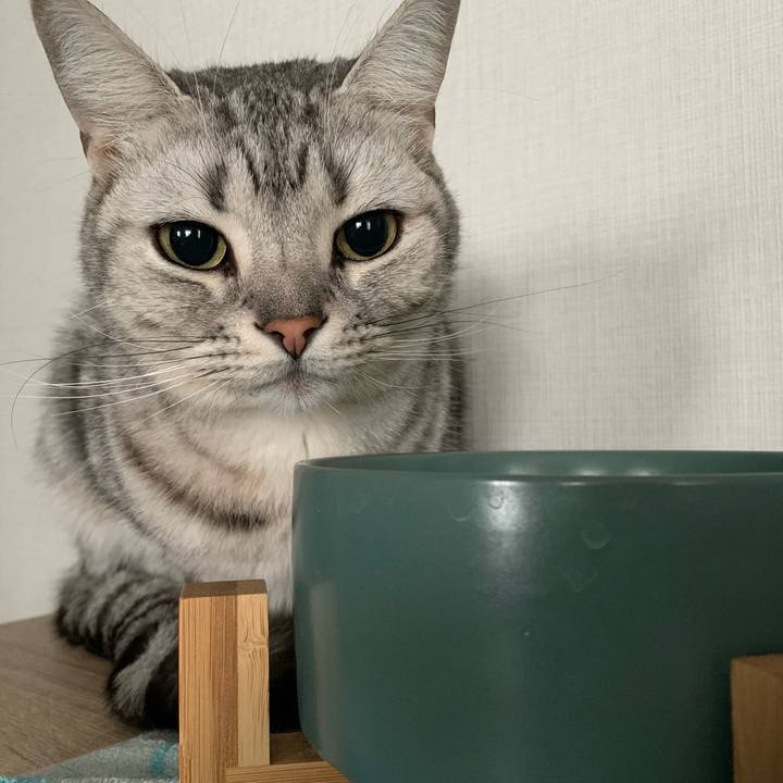 24d6b2cc 810b 4f8b b893 bce6d2bb981c 1639039013483