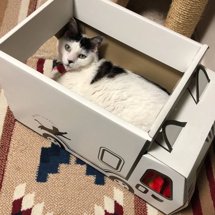 24d6d509 3c67 4b4f beae d26af02594e0 1529328960793