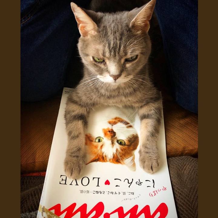 24d7254c 6668 4ec4 8a94 969bb9db5608 1530537137955