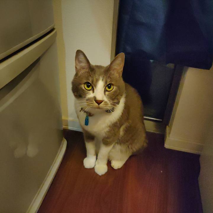 24d72937 746a 4175 bdf7 dc04ba28f4c8 1691843669986