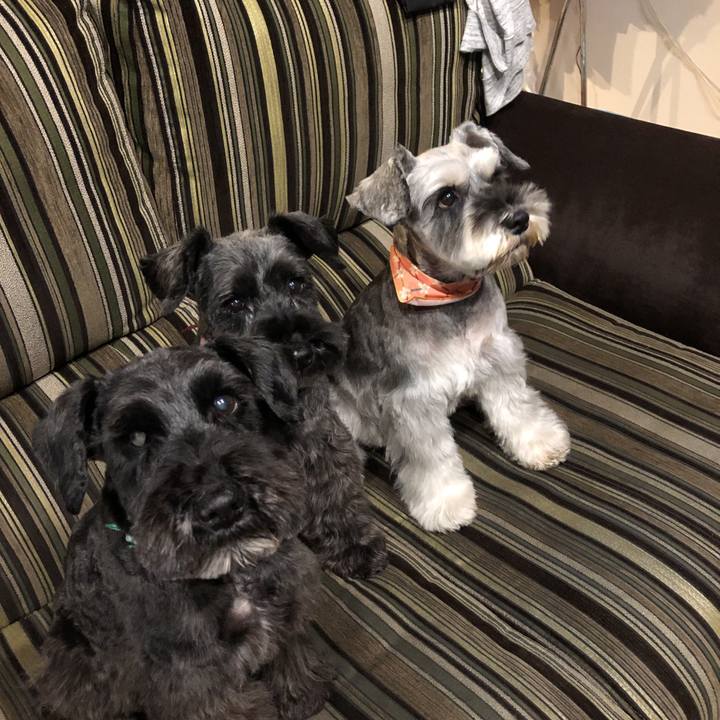 24d73bba 0552 4168 82d1 187bac733df2 1584783457512