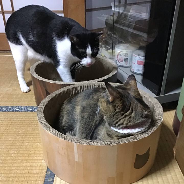 24d76b9f b476 41dc be92 d0a8cae06bec 1726224293399