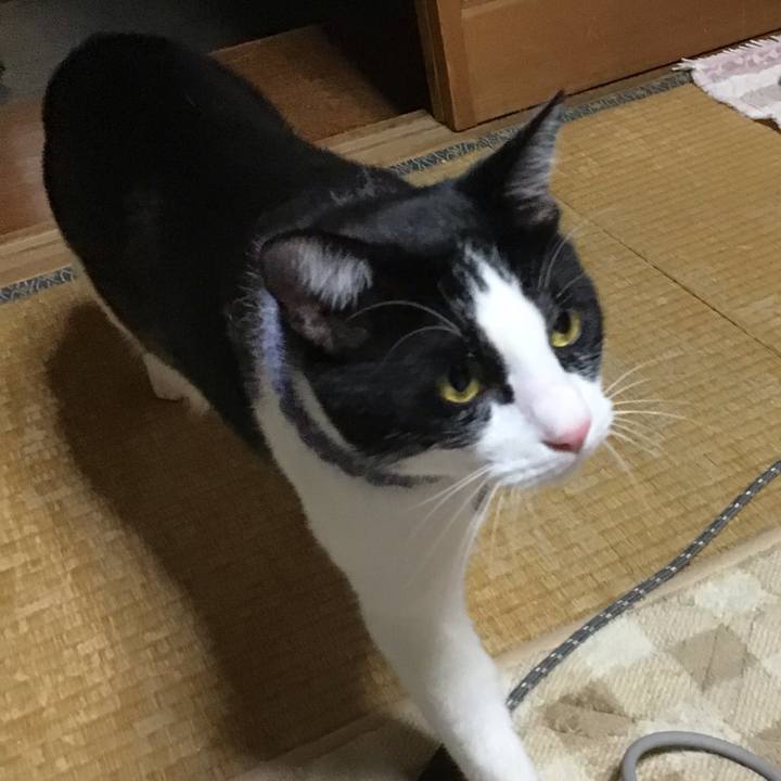 24d7bf17 0429 4d7d 83b8 bb502201e439 1669542549644