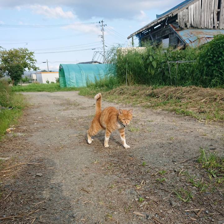 24d7bf36 df6b 4dae a25d 41ea0b2a8e73 1598341583956