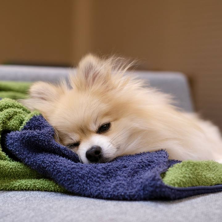 24d7df8f 0a6e 4aab b3da d8e4eea952e5 1773753158798