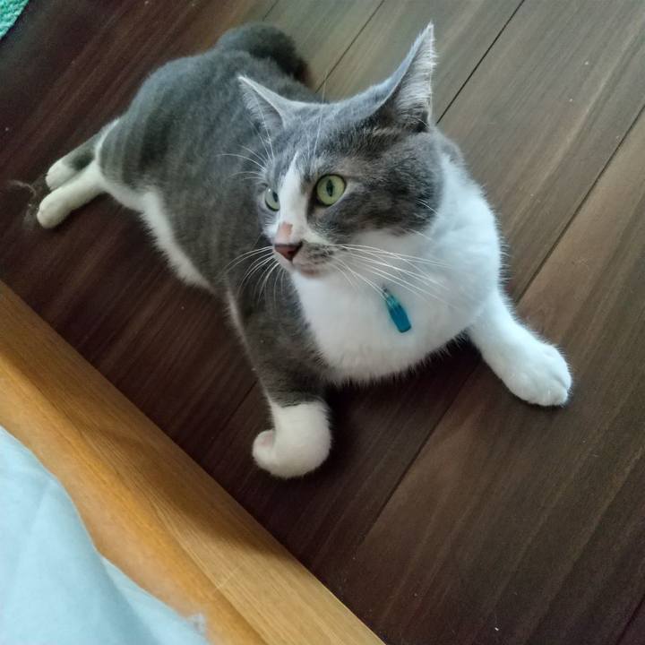 24d80fc0 3f1f 461f 9963 bbe88b84ee97 1629234510454