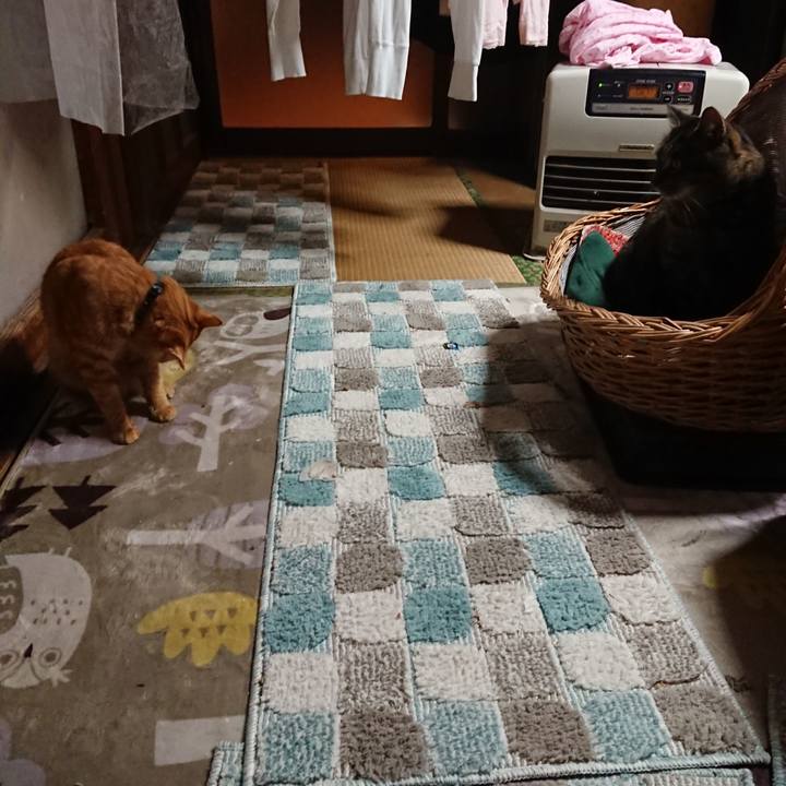 24d811c4 ba1f 4a62 9f38 d62c92f0849b 1640863992034