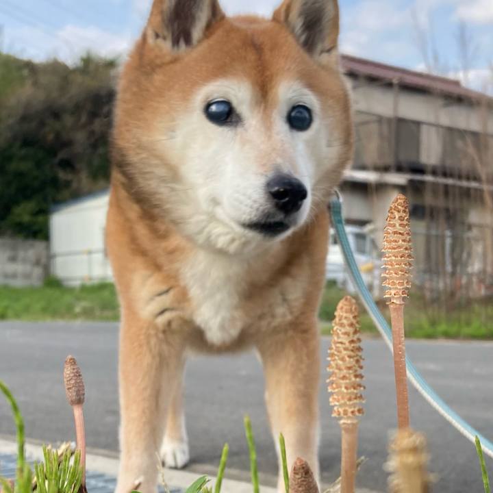 24d8401d 6aa8 4507 b45e 7c50d979ce9f 1743838798935