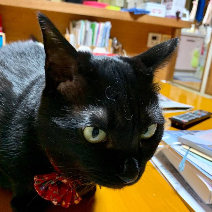 24d841ab 6d86 47a3 9dcb 7788279ab725 1559393186904