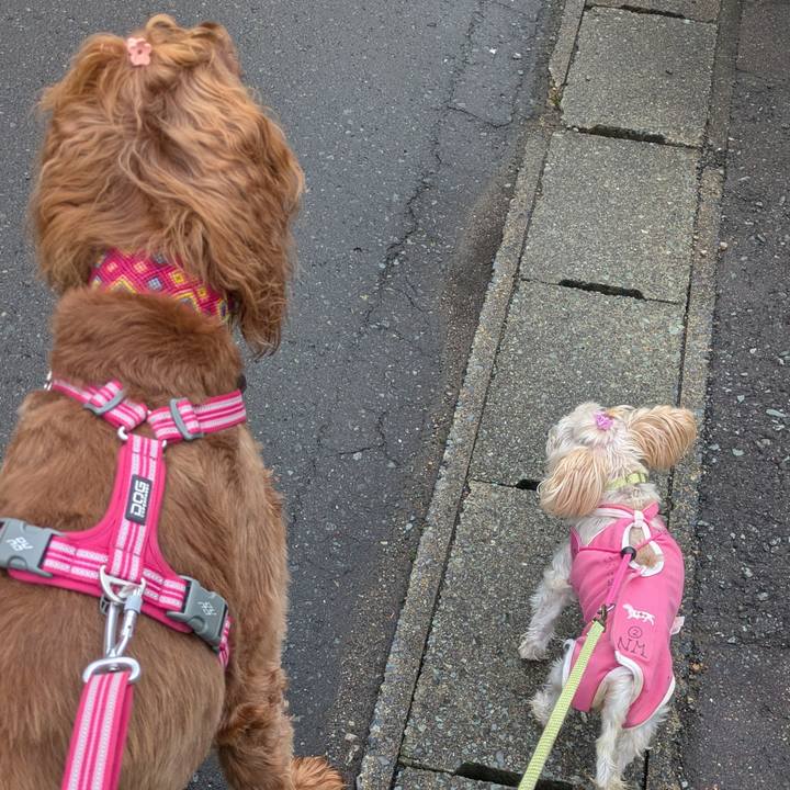 24d866b0 6ee8 44b1 b98f e6d1037d91a8 1757640389476