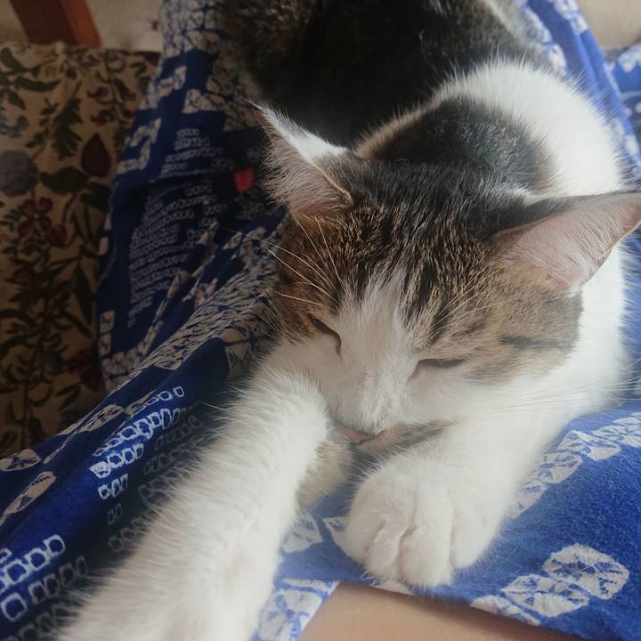 24d8768c ee5a 40d8 868d 191dd5e3753d 1728004401090