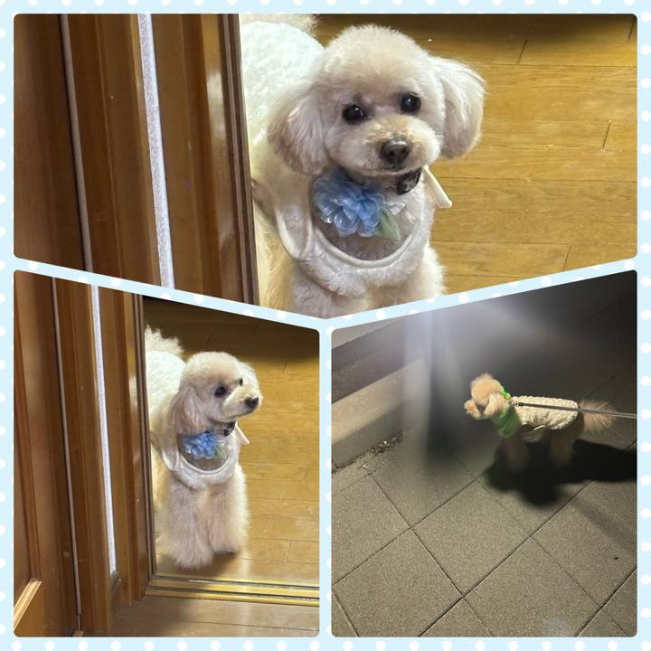 24d87c43 2f28 49ba 8275 272c842a14cd 1773235532175