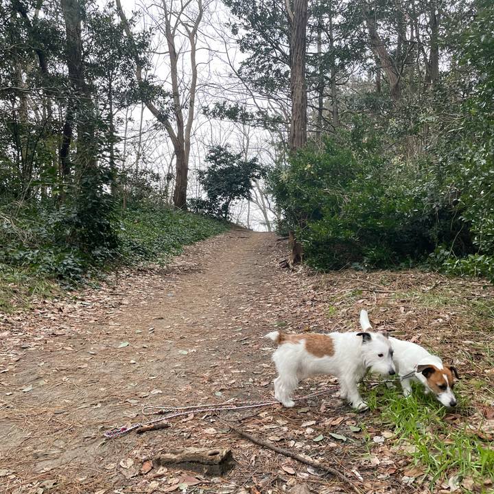 24d88134 31e1 4f2f 8f77 0b8cf08e58f3 1643328657165