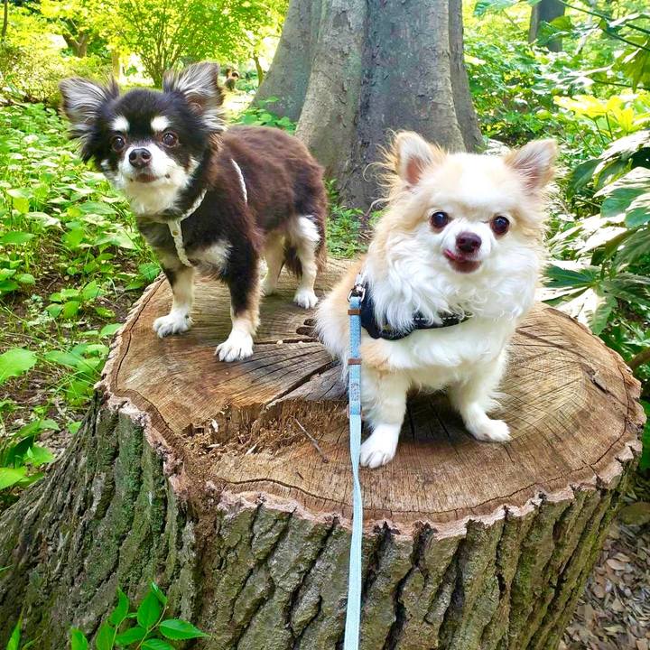 24d8bc47 eb93 4fd2 984d e912ebef5dbc 1718541024219