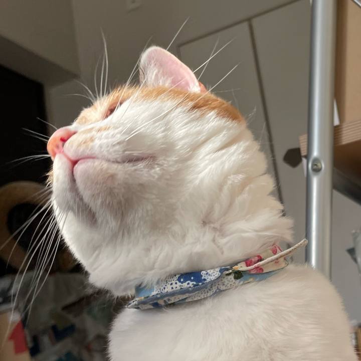 24d8d66f 94e3 44cc ace6 637b967e6467 1714817104887