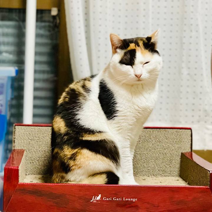 24d8dacc 5621 424d b2c9 3a5f785ca9de 1611715529320