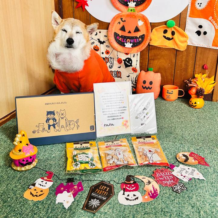 24d904ee fd50 4297 ab3b d2f6be4f44ff 1761884744129