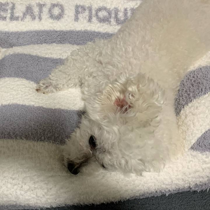 24d925b6 b5f9 4191 9da2 bf5eaa9be208 1665548084640