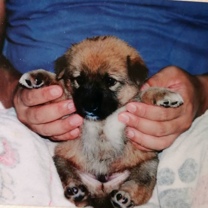 24d94168 ffbb 4c16 801a b02e4229fd04 1630369704517