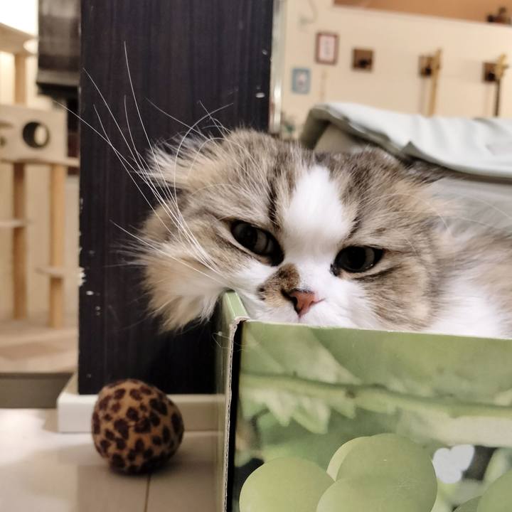 24d94b57 3a28 4c35 a12d 0292a32ff938 1767609351179