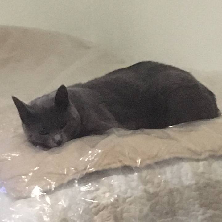 24d9b623 8942 496a b580 b84a88f7024d 1645502625385