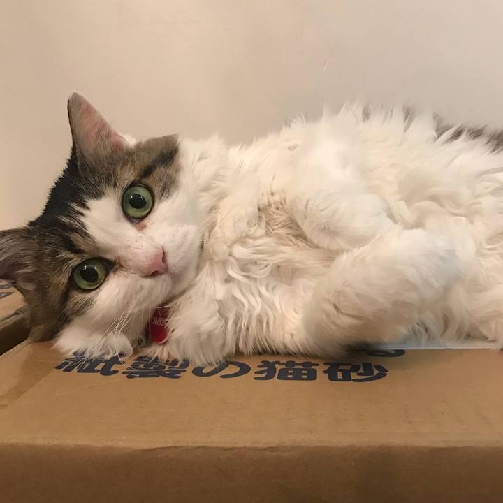 24da1dba b49b 4987 b112 6c85db267600 1524655623056