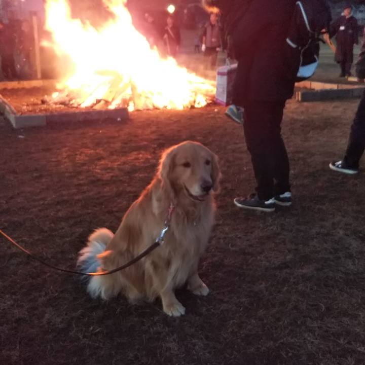 24da4dce d788 4ef4 8904 9865f5f242e9 1547455754531