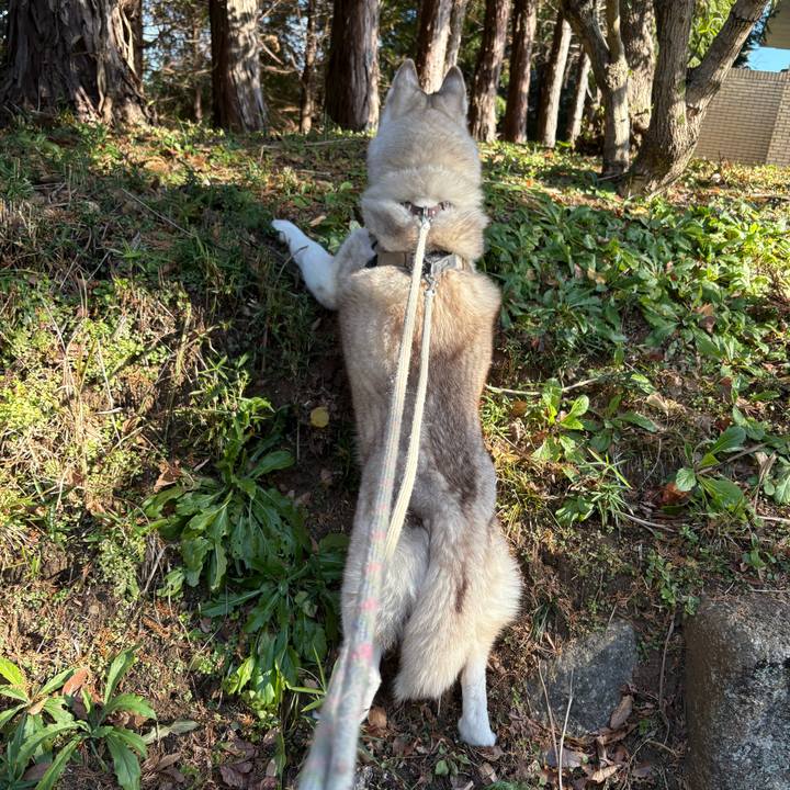 24da9bdd 07c3 46fe 832d 2a9c7a742479 1735806627767